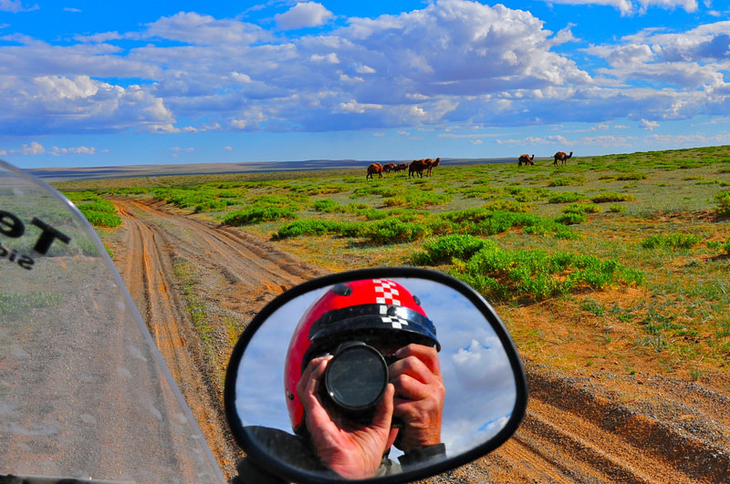 Mongolie